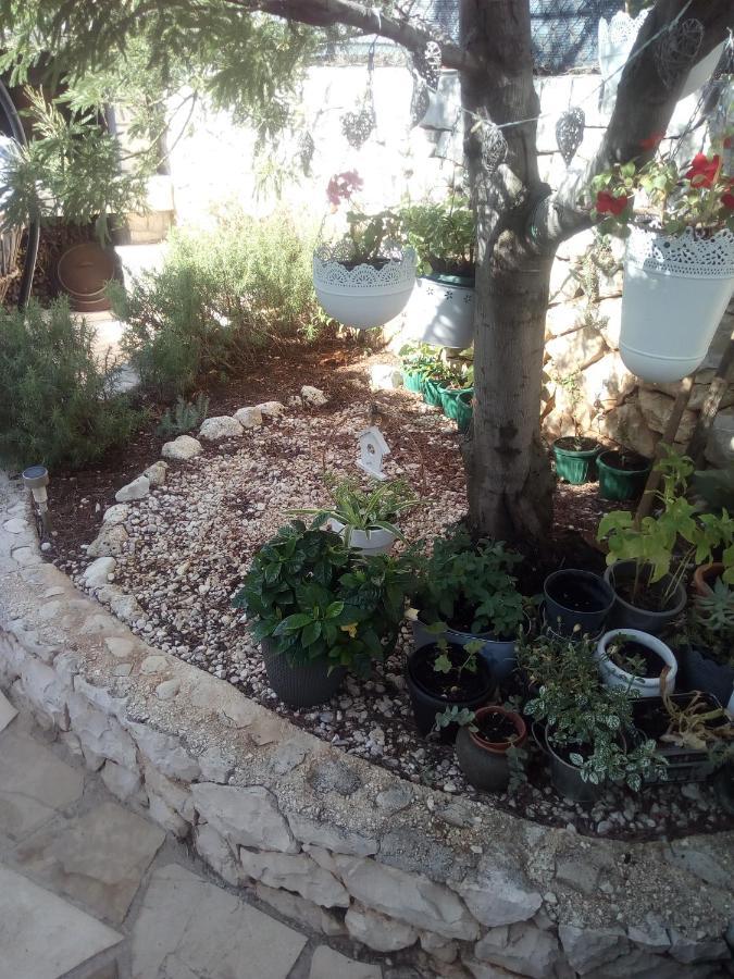 Villa Ana Zivogosce-Apartment4 Екстериор снимка